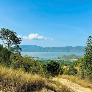 Cơ Hội Đầu Tư: Lô Đất View Biển Chỉ 150 Triệu/Sào (1000m2) Cách TP Nha Trang 20km! - Hình ảnh 3