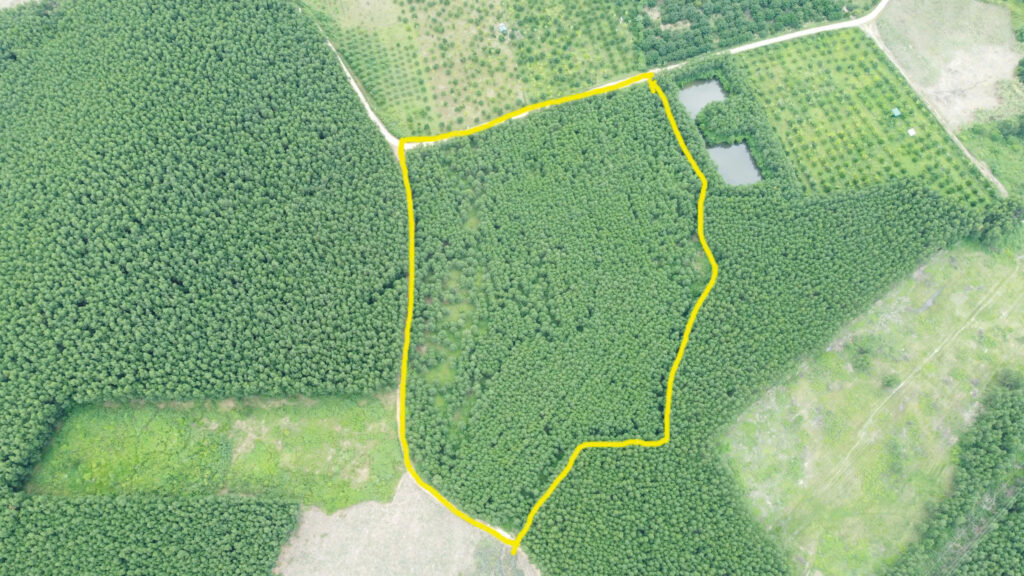 Bán Đất Khánh Nam (Khánh Vĩnh) – Lô Góc 2.7ha, 2 Mặt Tiền Ôm Suối, Gần QL27C – Giá Chỉ 300k/m² (TL)