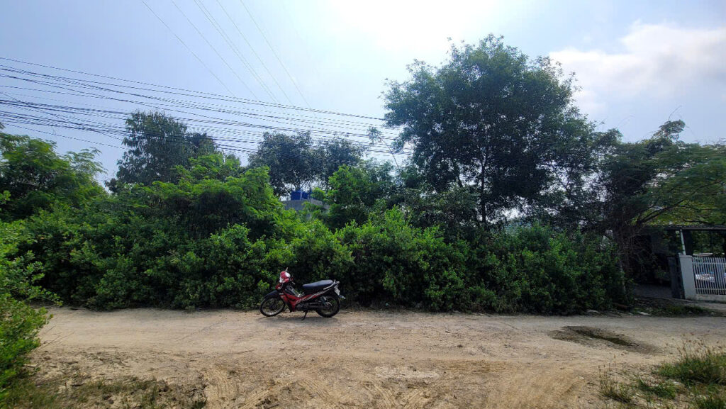 Bán Đất Gần Đường Phong Châu Nối Tỉnh Lộ 3 – 1000m2, Giá 5,5 Tỷ, Đã Tách 2 Sổ