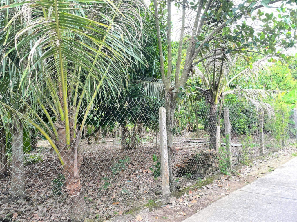 Bán Đất Diên Phước, Diên Khánh – 297,5m² Gần Trung Tâm, Giá 2,1 Tỷ