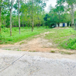 BÁN ĐẤT 1.430M² XÃ KHÁNH ĐÔNG - 400M² THỔ CƯ - CÓ VƯỜN CAO SU - GIÁ CHỈ 950 TRIỆU - Hình ảnh 2