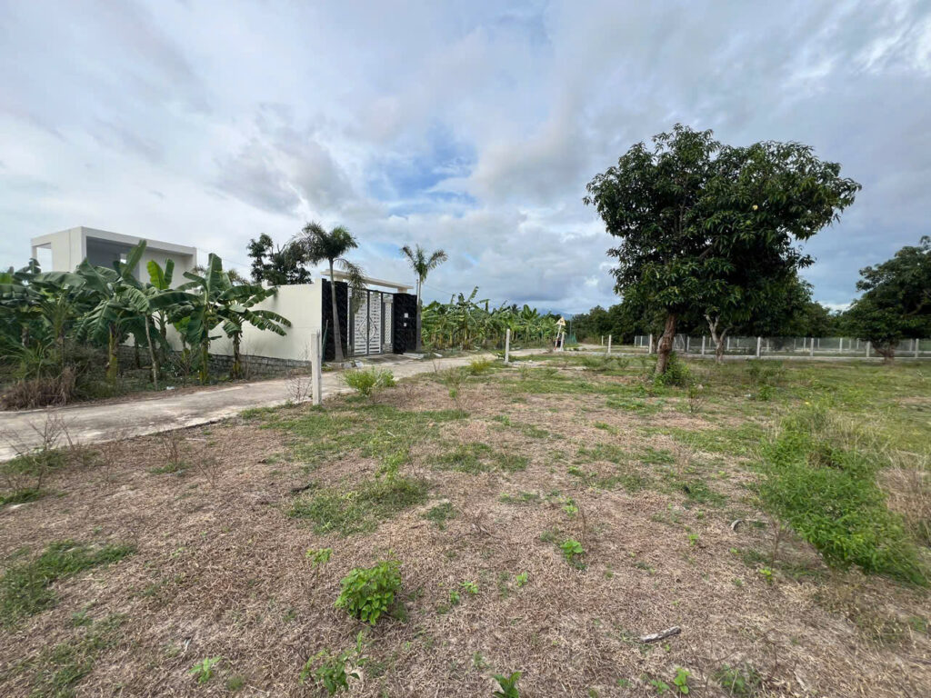 Bán Đất Vườn Suối Tiên (Tân Khánh, Diên Khánh) – 568m² Full Thổ, Ngang 11m, Đường 5m – Giá Chỉ 3.5tr/m²