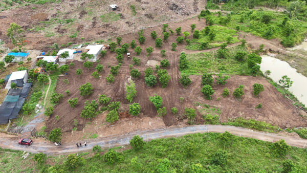 Bán Farm Diên Lâm (Diên Khánh) 1000m² Có Nhà Gỗ – Điện Nước, Cổng Rào – Giá Chỉ 830 Triệu