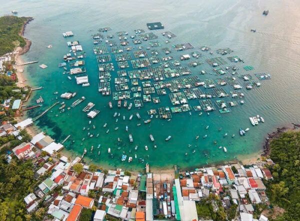 Bán Đất Đảo Trí Nguyên (Nha Trang) – View Biển Trực Diện, Gần Làng Bè, 236m² Full Thổ – Giá 39.5tr/m²