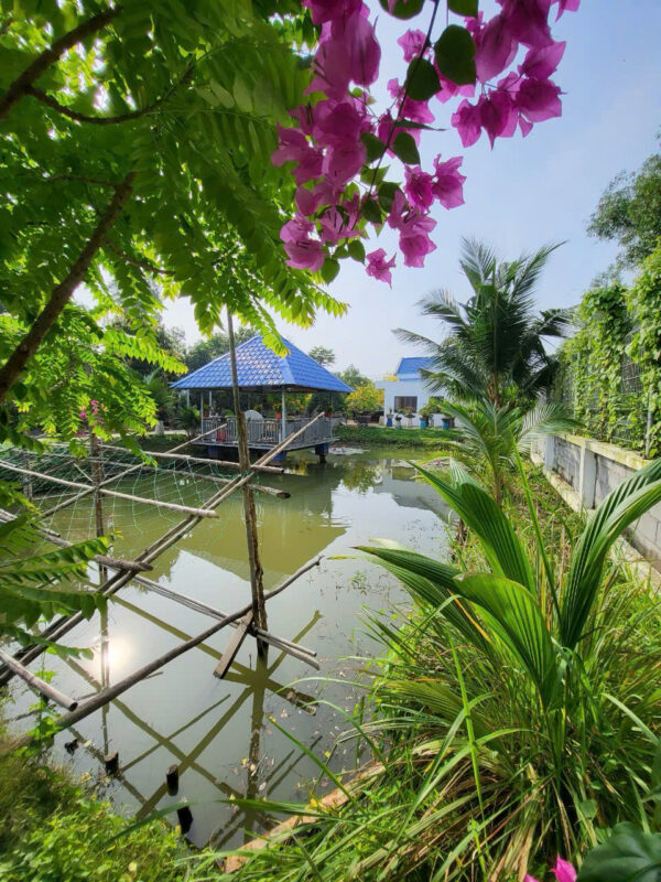 Bán Nhà Vườn Đa Phước (Bình Chánh) – 2218m², Mới Hoàn Công, Ao Cá, Tặng Nội Thất – Giá 19.5 Tỷ (TL)