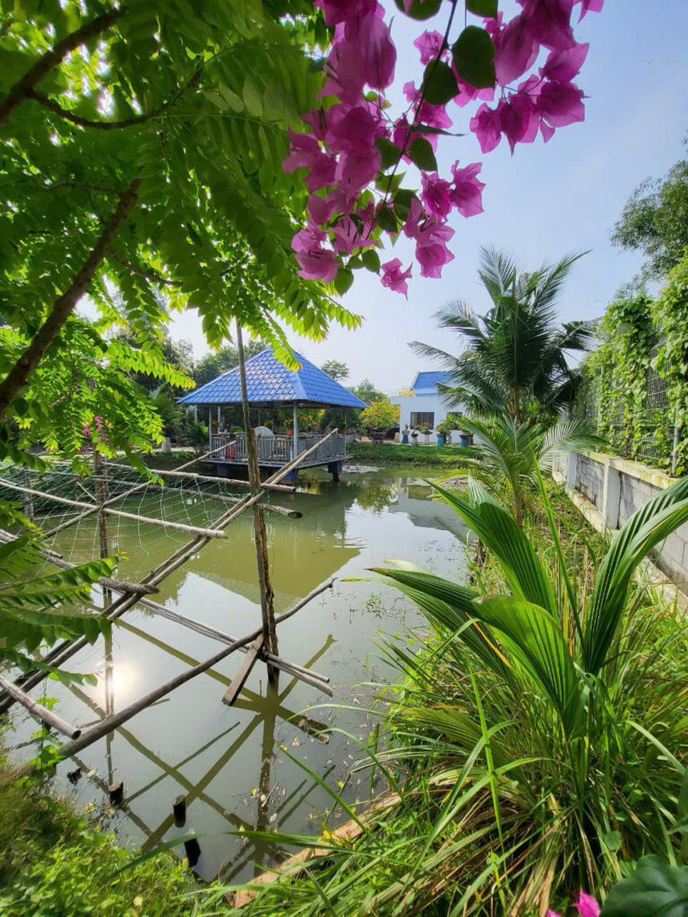 Bán Nhà Vườn Đa Phước (Bình Chánh) – 2218m², Mới Hoàn Công, Ao Cá, Tặng Nội Thất – Giá 19.5 Tỷ (TL)