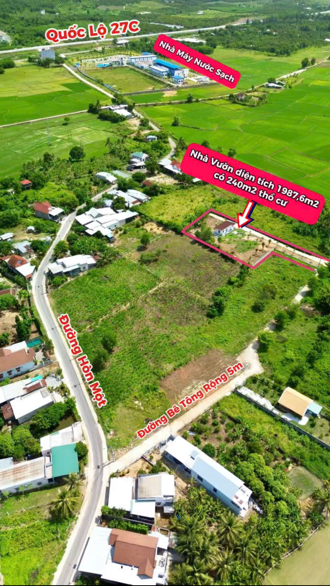 Bán Nhà Vườn Diên Thọ (Diên Khánh) Gần QL27C – 1987m², 240m² Thổ, Nhà C4, Ao Cá – Giá Chỉ 3.5 Tỷ - Hình ảnh 5