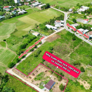 Bán Nhà Vườn Diên Thọ (Diên Khánh) Gần QL27C – 1987m², 240m² Thổ, Nhà C4, Ao Cá – Giá Chỉ 3.5 Tỷ - Hình ảnh 6