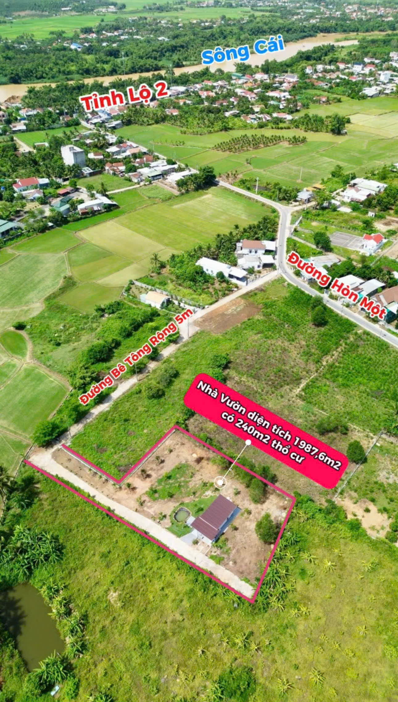 Bán Nhà Vườn Diên Thọ (Diên Khánh) Gần QL27C – 1987m², 240m² Thổ, Nhà C4, Ao Cá – Giá Chỉ 3.5 Tỷ - Hình ảnh 6