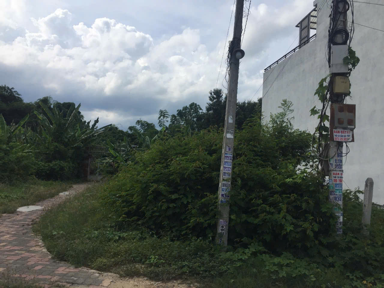 Bán Đất 2 Mặt Tiền Diên An – 106m² Full Thổ Cư, Gần Đường 23/10, Giá 1.53 Tỷ - Hình ảnh 2