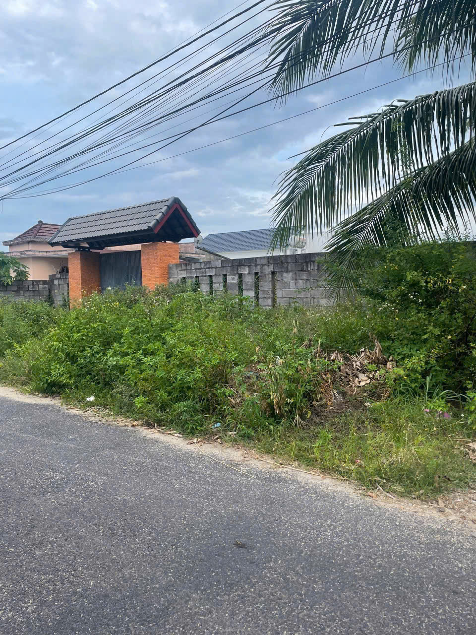 Bán Đất Làm Nhà Vườn Xã Suối Tiên – 1000m², Mặt Tiền Nhựa 8m, Có Thổ Cư - Hình ảnh 7