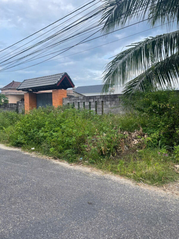 Bán Đất Làm Nhà Vườn Xã Suối Tiên – 1000m², Mặt Tiền Nhựa 8m, Có Thổ Cư - Hình ảnh 6