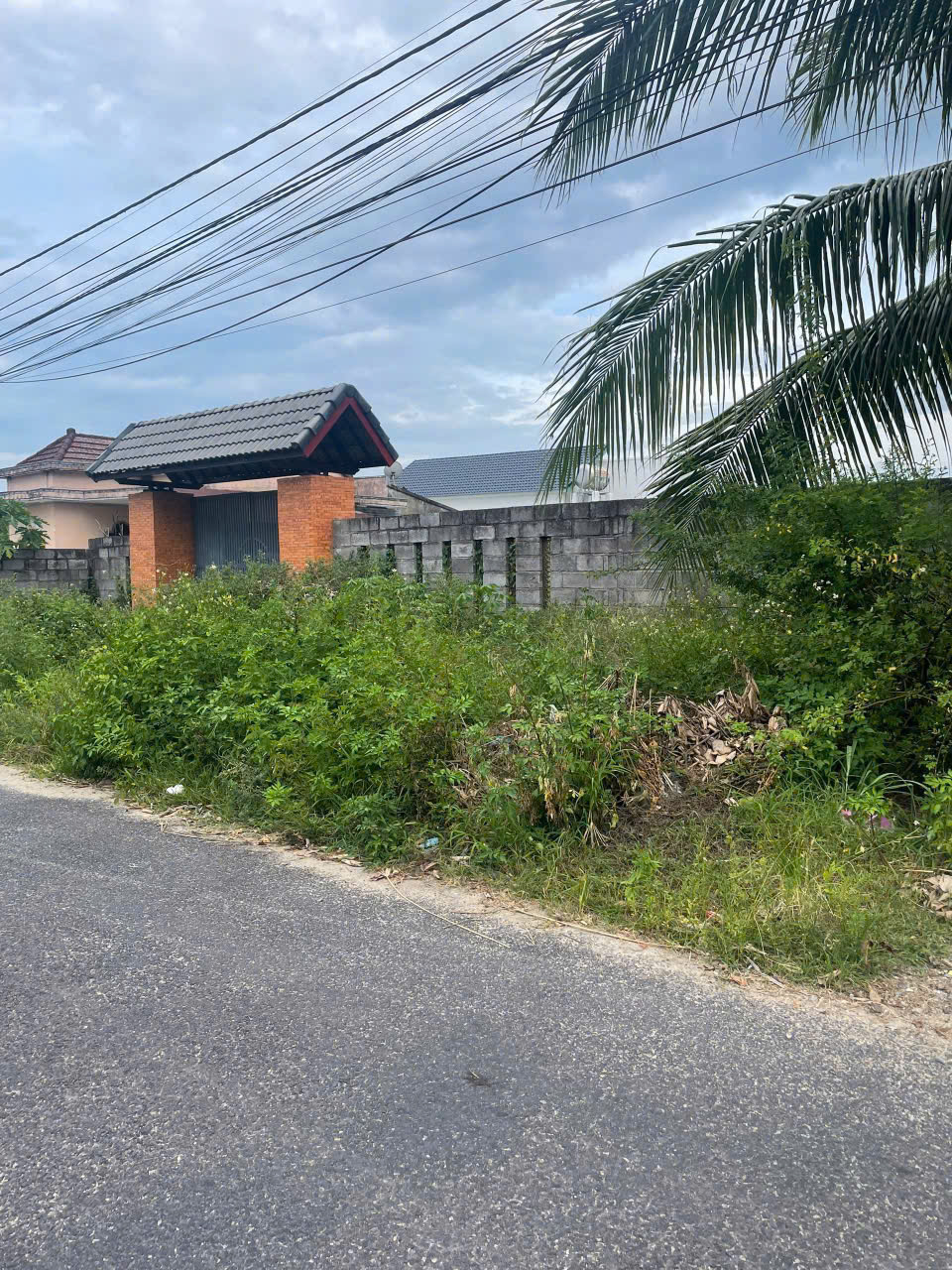 Bán Đất Làm Nhà Vườn Xã Suối Tiên – 1000m², Mặt Tiền Nhựa 8m, Có Thổ Cư - Hình ảnh 6
