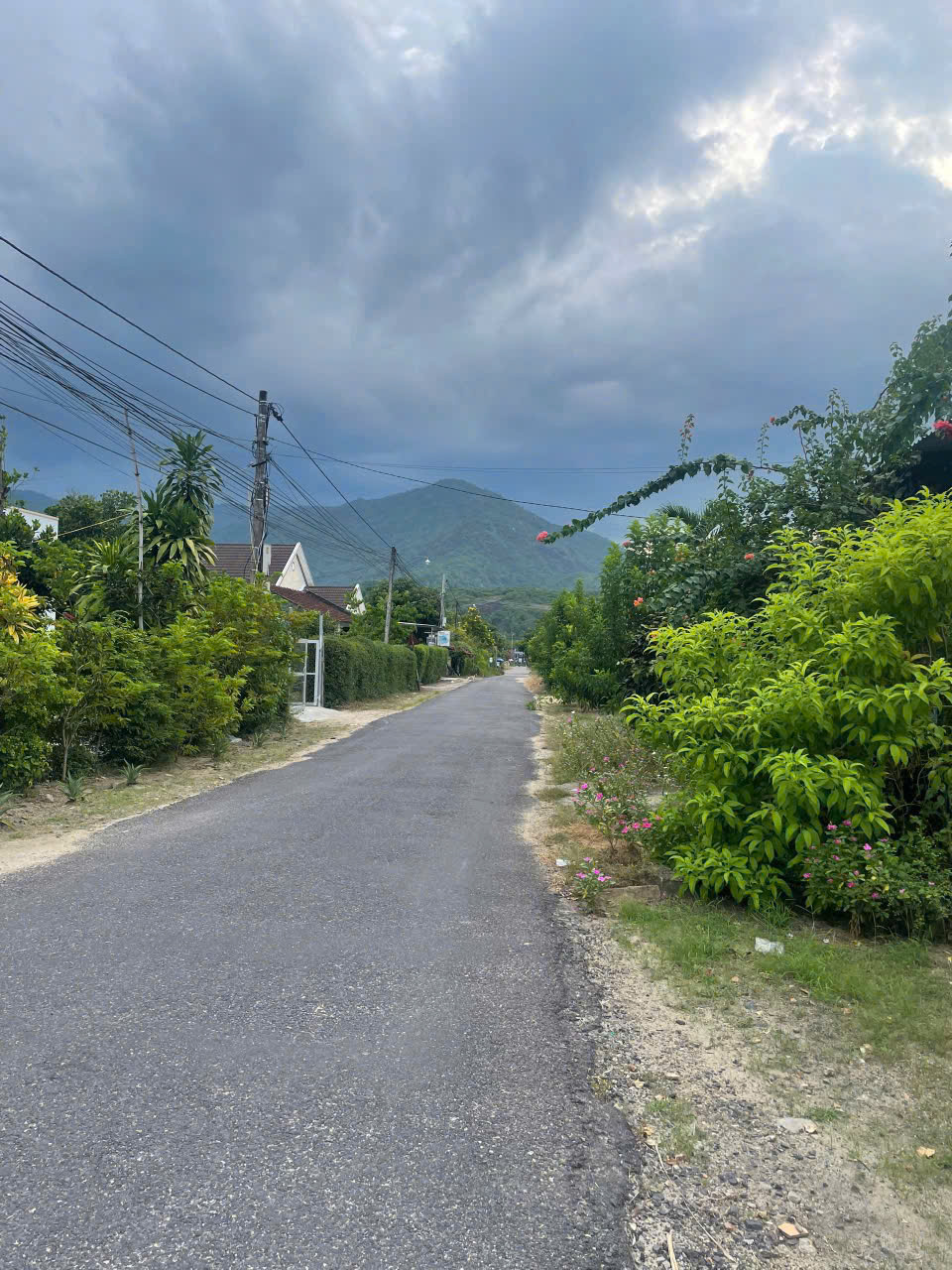 Bán Đất Làm Nhà Vườn Xã Suối Tiên – 1000m², Mặt Tiền Nhựa 8m, Có Thổ Cư - Hình ảnh 4