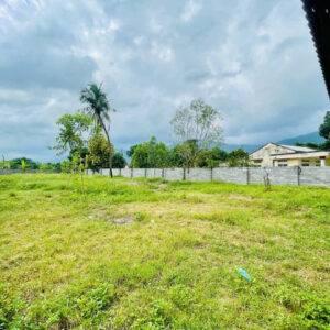 Bán Đất Làm Nhà Vườn Xã Suối Tiên – 1000m², Mặt Tiền Nhựa 8m, Có Thổ Cư - Hình ảnh 1