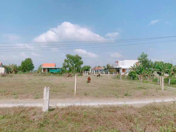 Bán Lô Đất Thổ Cư 100% - Giá 3.5 Triệu/m2 - Phước Lâm, Xã Tân Định, Khánh Hoà - Hình ảnh 2