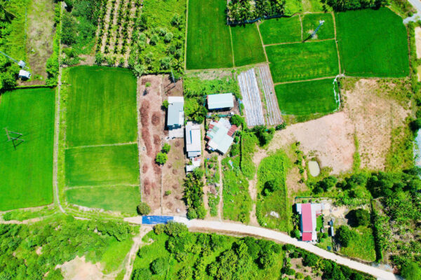 Bán Hai Lô Đất Nhà Vườn Diên Thọ, Khánh Hoà – Sẵn Sổ, Sẵn Nhà, Giá Tốt Nhất Khu Vực