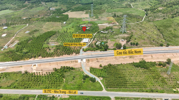 Farm Sinh Thái Đắc Địa 16.240m² tại Diên Thọ - Giá Chỉ 425.000 VNĐ/m² - Hình ảnh 2