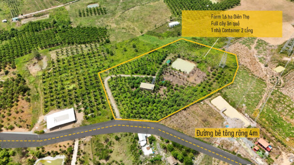 Farm Sinh Thái Đắc Địa 16.240m² tại Diên Thọ - Giá Chỉ 425.000 VNĐ/m²