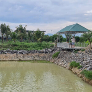 Farm Sinh Thái Đắc Địa 16.240m² tại Diên Thọ - Giá Chỉ 425.000 VNĐ/m² - Hình ảnh 6