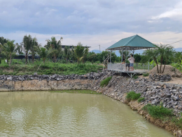 Farm Sinh Thái Đắc Địa 16.240m² tại Diên Thọ - Giá Chỉ 425.000 VNĐ/m² - Hình ảnh 6