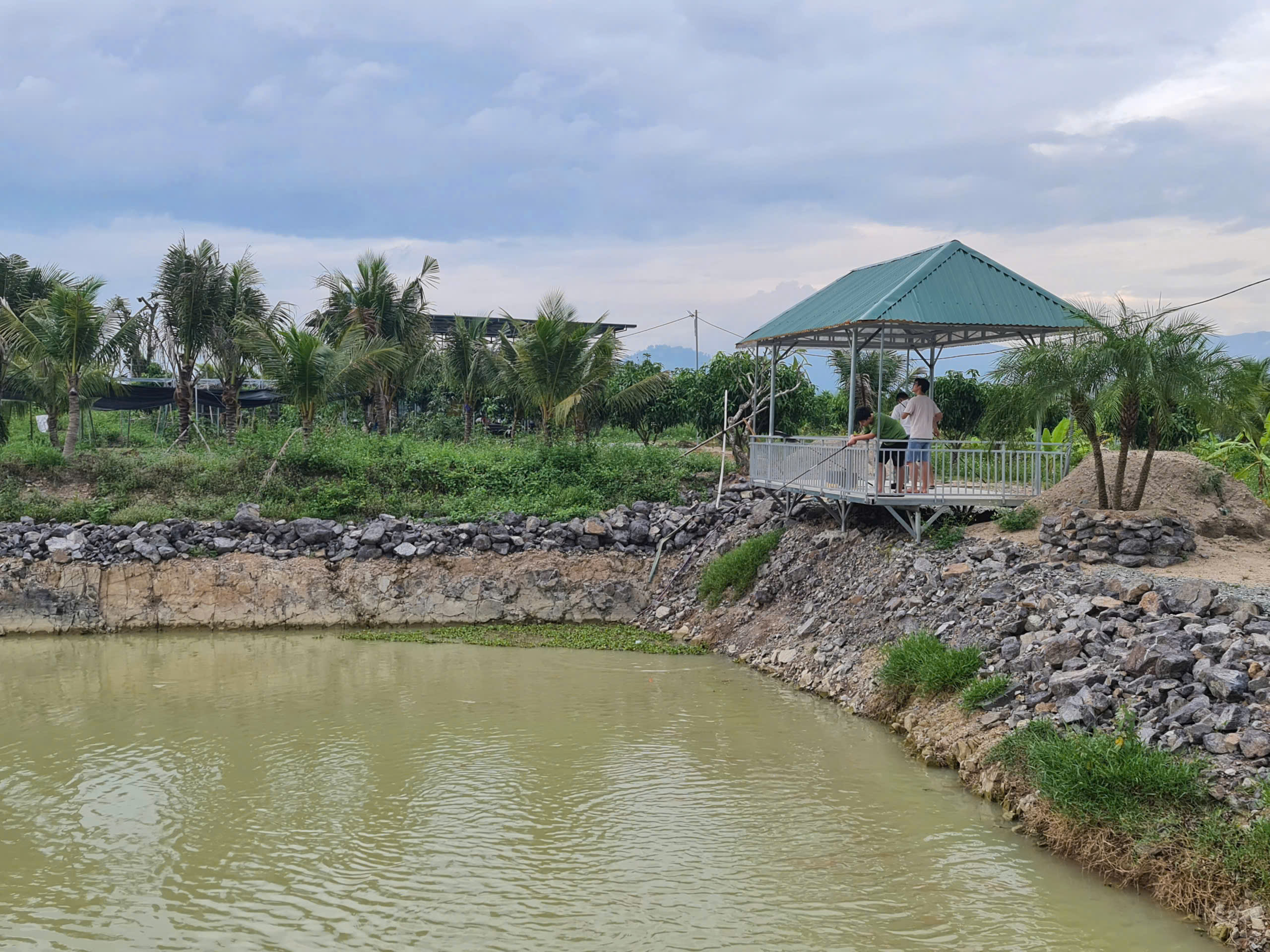 Farm Sinh Thái Đắc Địa 16.240m² tại Diên Thọ - Giá Chỉ 425.000 VNĐ/m² - Hình ảnh 6