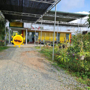 Farm Sinh Thái Đắc Địa 16.240m² tại Diên Thọ - Giá Chỉ 425.000 VNĐ/m² - Hình ảnh 4