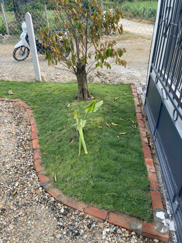 Bán Farm Nghỉ Dưỡng 500m² - Giá 879 Triệu - Có Sẵn Nhà, Hồ Cá, Cây Ăn Trái Tại Diên Đồng - Hình ảnh 2