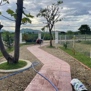 Bán Farm Nghỉ Dưỡng 500m² - Giá 879 Triệu - Có Sẵn Nhà, Hồ Cá, Cây Ăn Trái Tại Diên Đồng - Hình ảnh 4