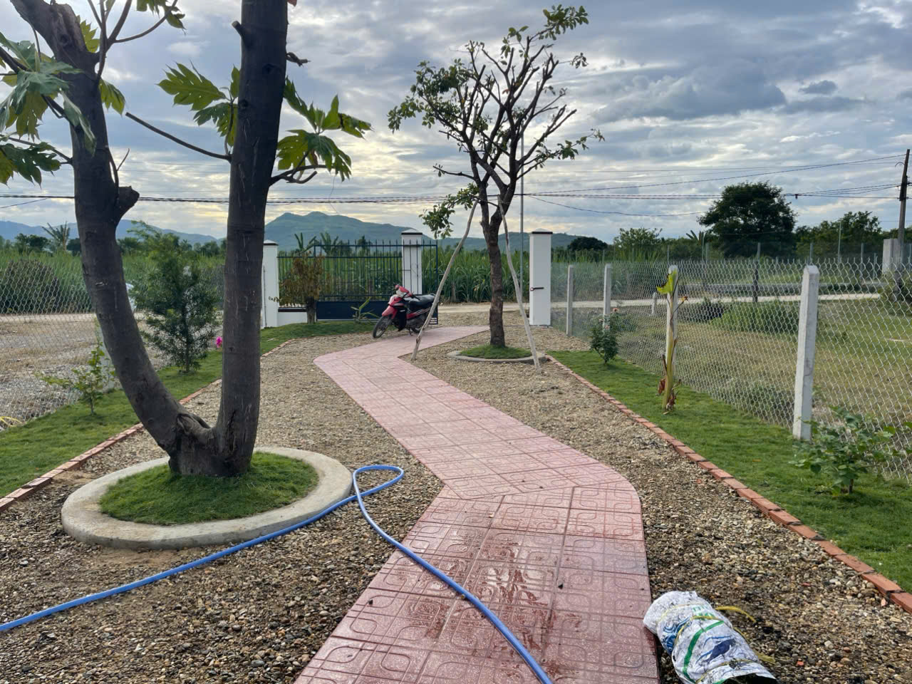 Bán Farm Nghỉ Dưỡng 500m² - Giá 879 Triệu - Có Sẵn Nhà, Hồ Cá, Cây Ăn Trái Tại Diên Đồng - Hình ảnh 4