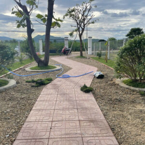 Bán Farm Nghỉ Dưỡng 500m² - Giá 879 Triệu - Có Sẵn Nhà, Hồ Cá, Cây Ăn Trái Tại Diên Đồng - Hình ảnh 5