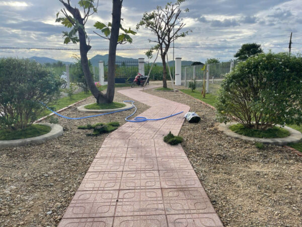 Bán Farm Nghỉ Dưỡng 500m² - Giá 879 Triệu - Có Sẵn Nhà, Hồ Cá, Cây Ăn Trái Tại Diên Đồng - Hình ảnh 5