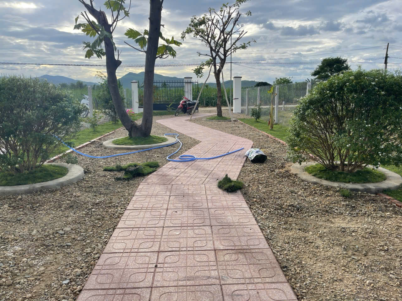Bán Farm Nghỉ Dưỡng 500m² - Giá 879 Triệu - Có Sẵn Nhà, Hồ Cá, Cây Ăn Trái Tại Diên Đồng - Hình ảnh 5