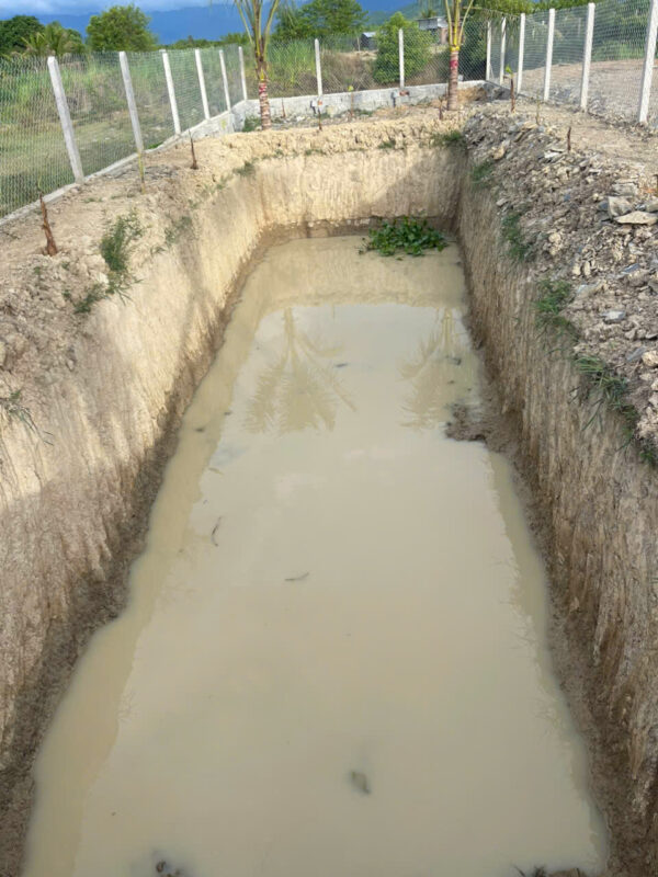 Bán Farm Nghỉ Dưỡng 500m² - Giá 879 Triệu - Có Sẵn Nhà, Hồ Cá, Cây Ăn Trái Tại Diên Đồng - Hình ảnh 8
