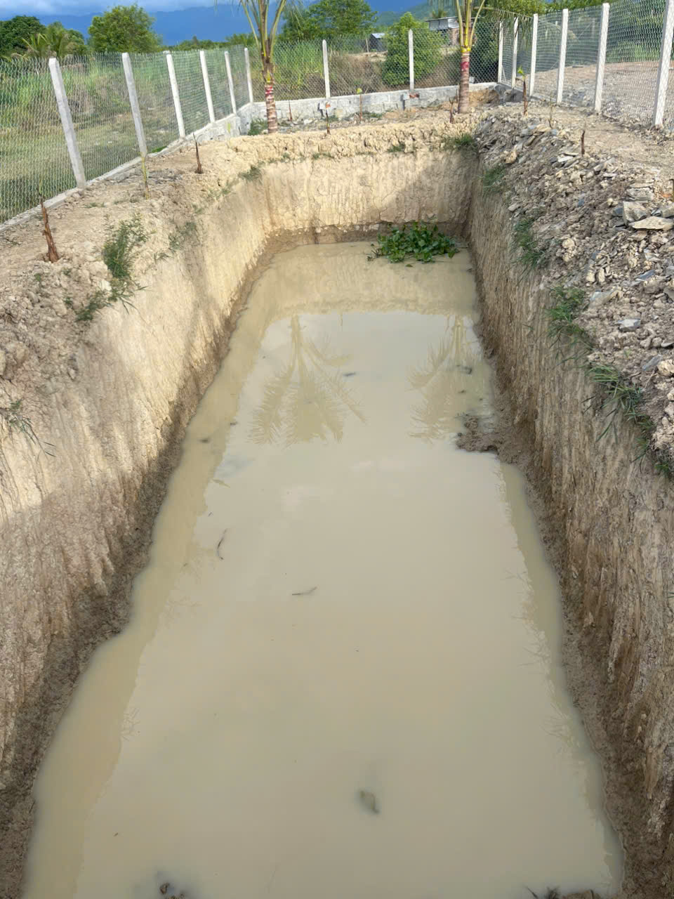 Bán Farm Nghỉ Dưỡng 500m² - Giá 879 Triệu - Có Sẵn Nhà, Hồ Cá, Cây Ăn Trái Tại Diên Đồng - Hình ảnh 8