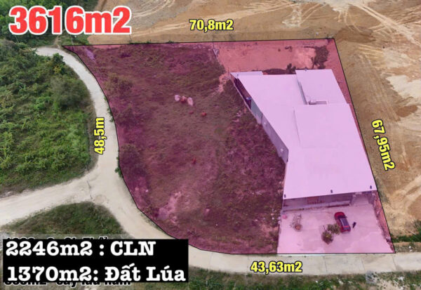 Bán Nhanh Nhà Vườn 3616m2 Mới Xây 2 Mặt Đường Ô Tô Tại Khánh Vĩnh – Giá Sốc Chỉ 1.45 Tỷ!