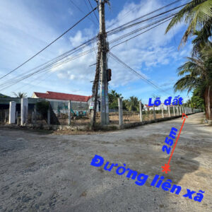 Bán Lô Đất Thổ Cư Đắc Địa 106m2, Giá 1 tỷ 020, Thôn 1 - Diên Phú, Diên Điền, Khánh Hoà - Hình ảnh 2