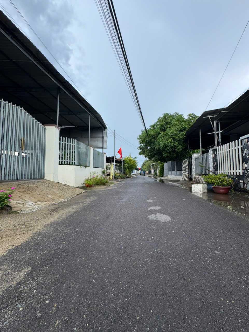 Bán Lô Đất 117.5m2 Thổ Cư Giá 1 Tỷ 079  Mặt Tiền Đường Nhựa Diên Sơn, Xã Diên Điền, Khánh Hòa - Hình ảnh 3