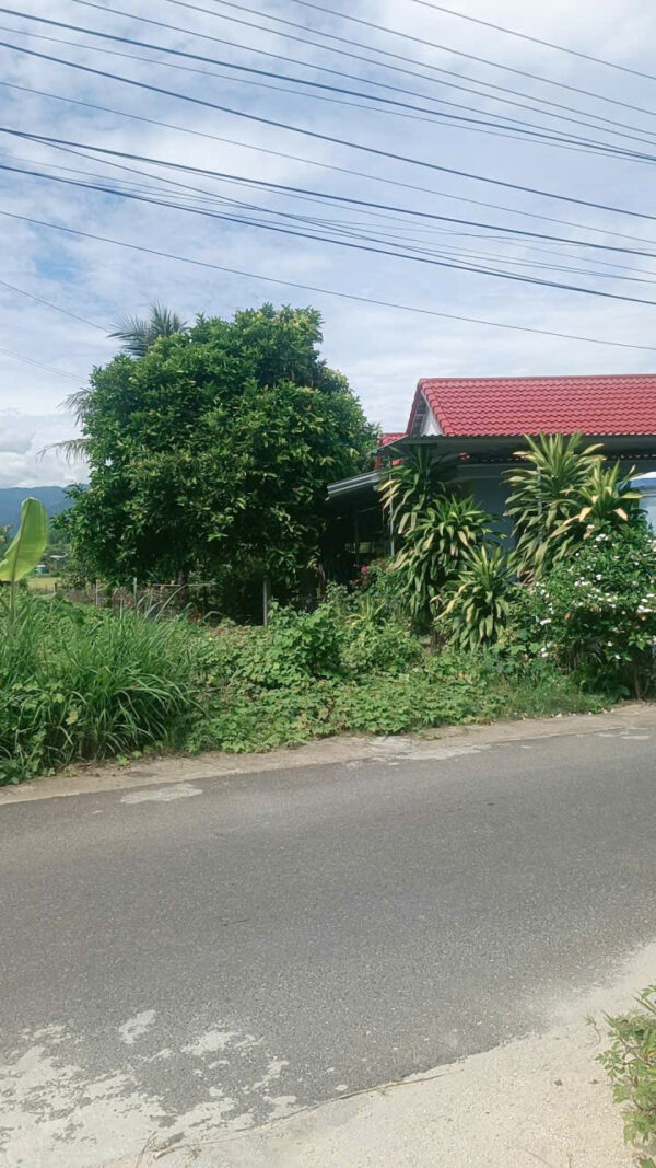Bán Đất Thổ Cư 176m² 2 Mặt Tiền Đường Nhựa 8m, Diên Hòa, Khánh Hòa – Giá Chỉ 1.169 Tỷ
