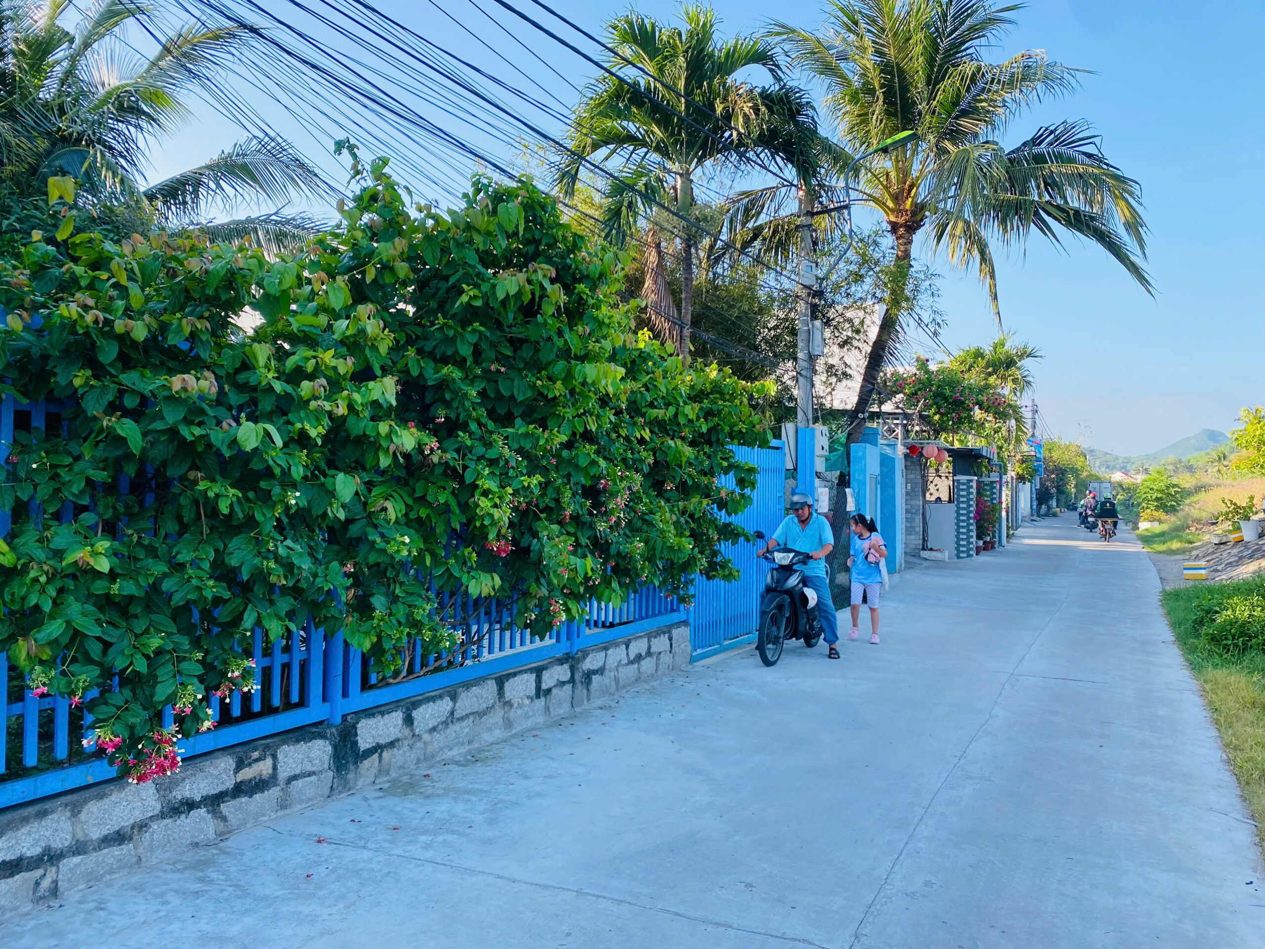 Bán Nhà Vĩnh Ngọc Nha Trang 390m2 – Giá Chỉ 5,1 tỷ - Hình ảnh 5
