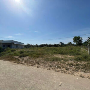 Bán Lô Đất 2 Mặt Tiền Trung Tâm Diên Đồng - 1294m2 - Giá 2tỷ980 - Hình ảnh 7