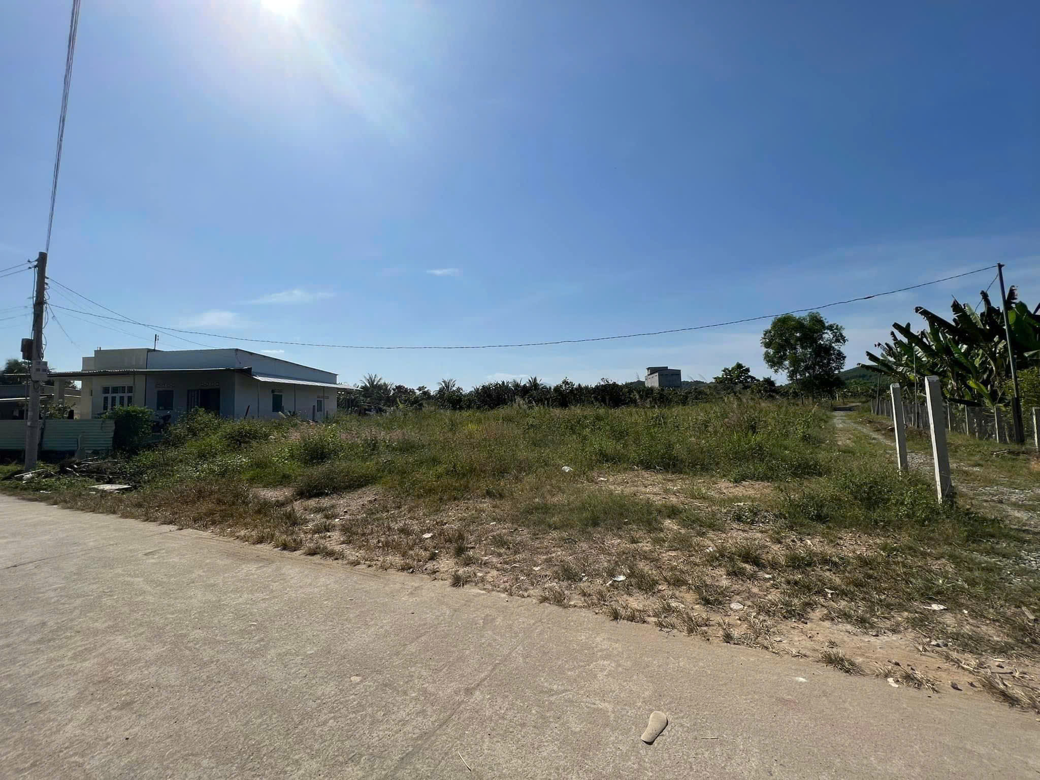 Bán Lô Đất 2 Mặt Tiền Trung Tâm Diên Đồng - 1294m2 - Giá 2tỷ980 - Hình ảnh 7