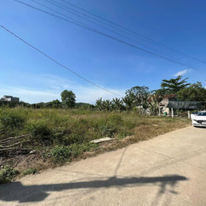 Bán Lô Đất 2 Mặt Tiền Trung Tâm Diên Đồng - 1294m2 - Giá 2tỷ980 - Hình ảnh 2