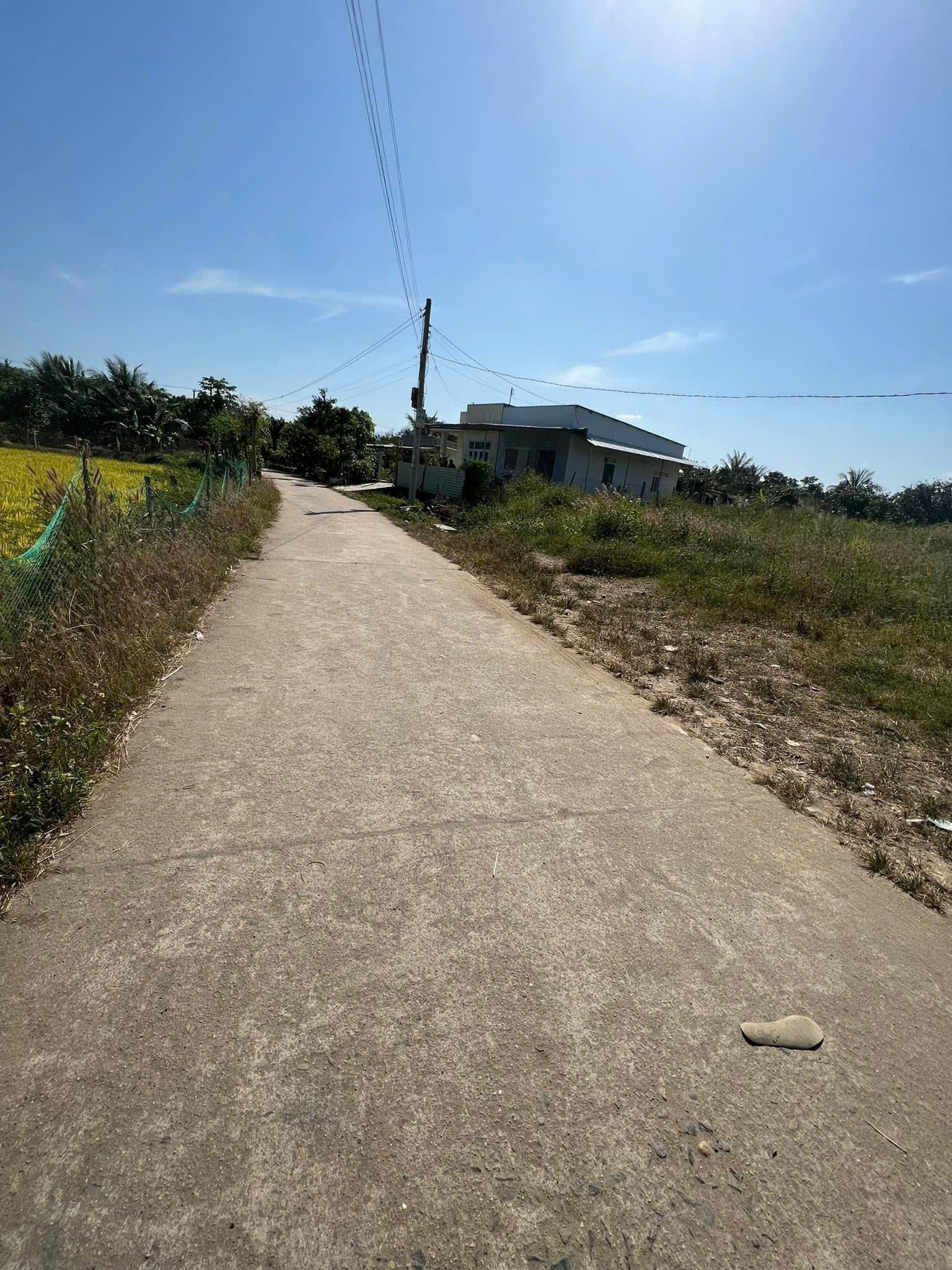 Bán Lô Đất 2 Mặt Tiền Trung Tâm Diên Đồng - 1294m2 - Giá 2tỷ980 - Hình ảnh 4