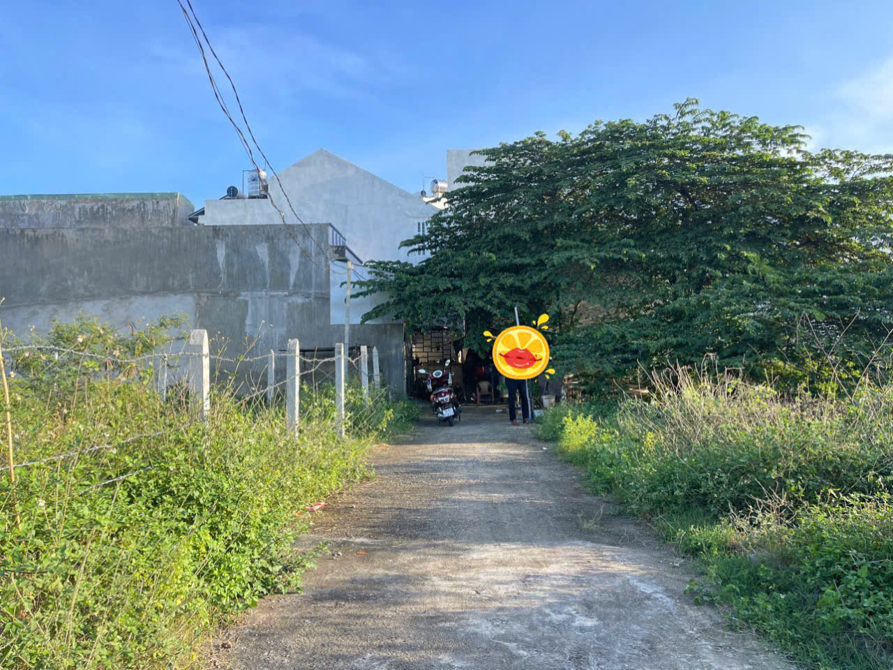 Bán Lô Đất Nền Gần Phú Trung, Phường Tây Nha Trang - 62.3m² - 1 Tỷ 450 - Hình ảnh 6