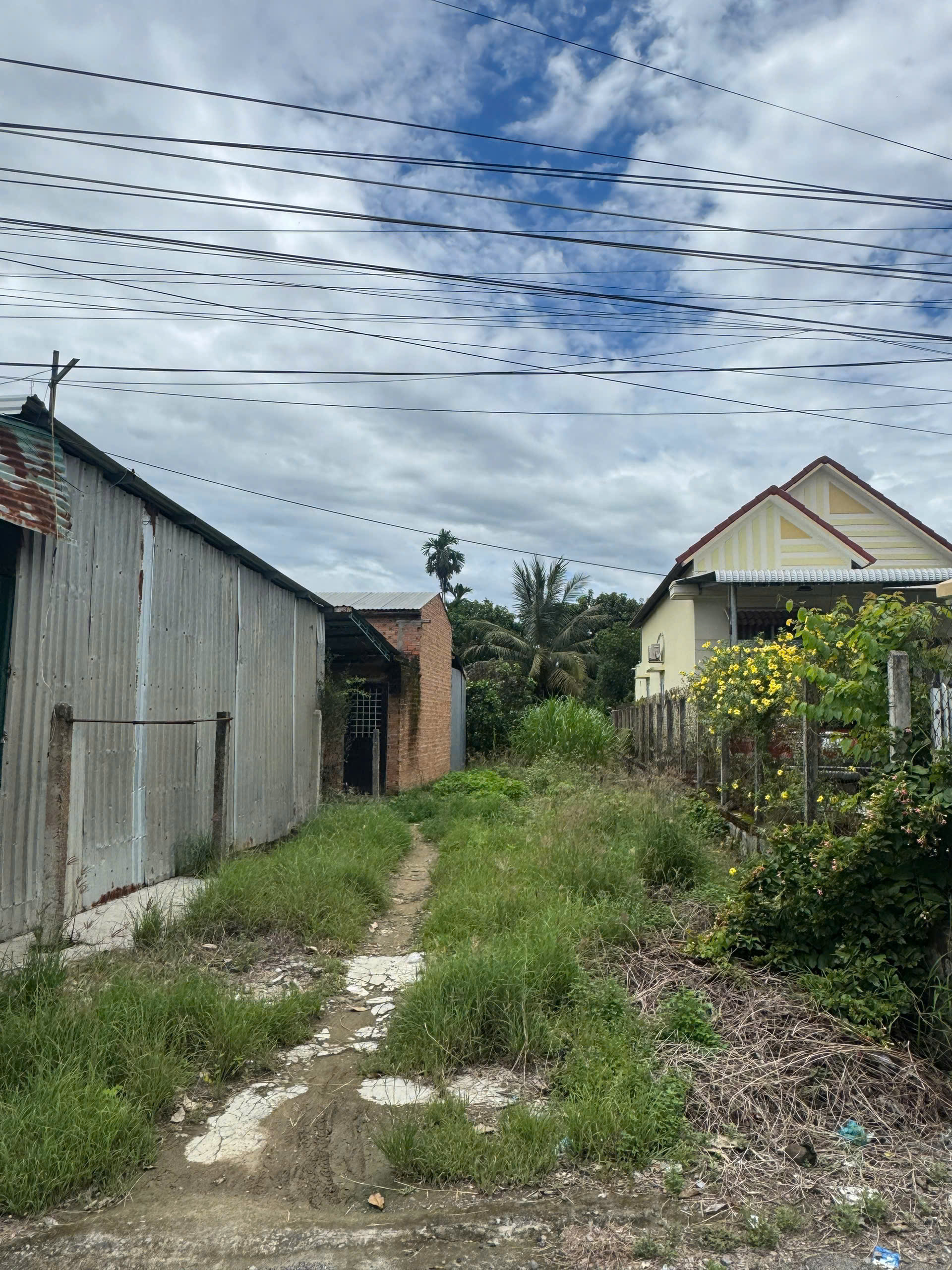 Bán Đất Nền Mặt Tiền Hương Lộ 39 Diên Lâm - 233,7 m2(131m2 sau QHGT) - Giá 1 tỷ 250 - Hình ảnh 1