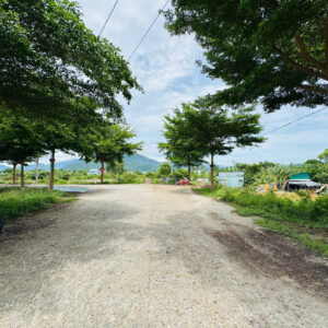 Bán Đất Nền Phú Trung Nha Trang - 62,3m² - Giá 1 Tỷ 450 - Hình ảnh 5