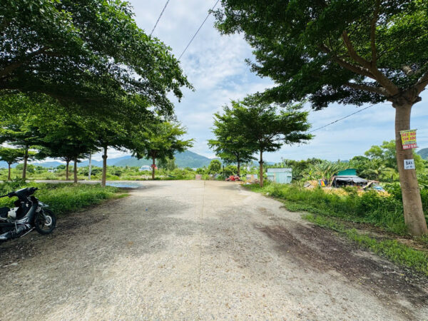 Bán Đất Nền Phú Trung Nha Trang - 62,3m² - Giá 1 Tỷ 450 - Hình ảnh 5