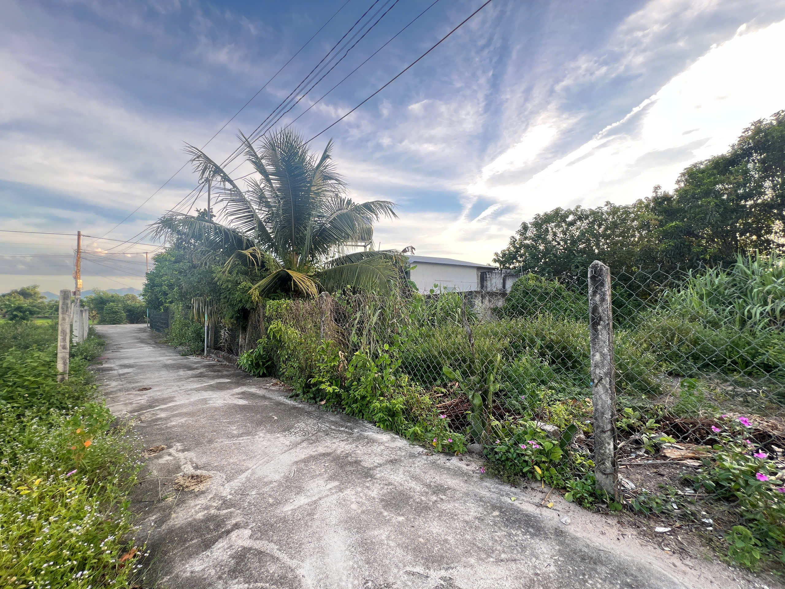 Bán Đất Nền Thôn Gò Mè, Suối Tiên - 181,7m² - 60m² Thổ Cư - Giá 750 Triệu - Hình ảnh 2