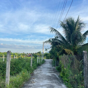 Bán Đất Nền Thôn Gò Mè, Suối Tiên - 181,7m² - 60m² Thổ Cư - Giá 750 Triệu - Hình ảnh 3